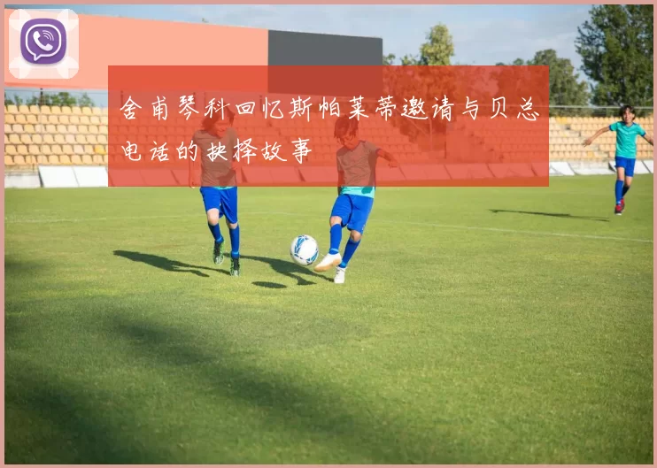 舍甫琴科回忆斯帕莱蒂邀请与贝总电话的抉择故事